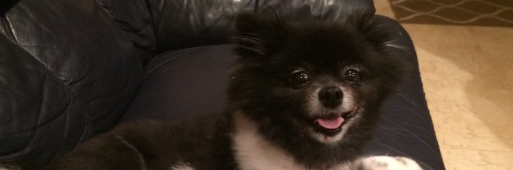RubiRojo3's profile banner image