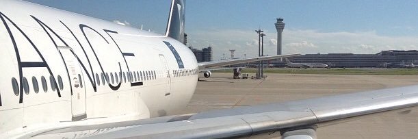 hase banner