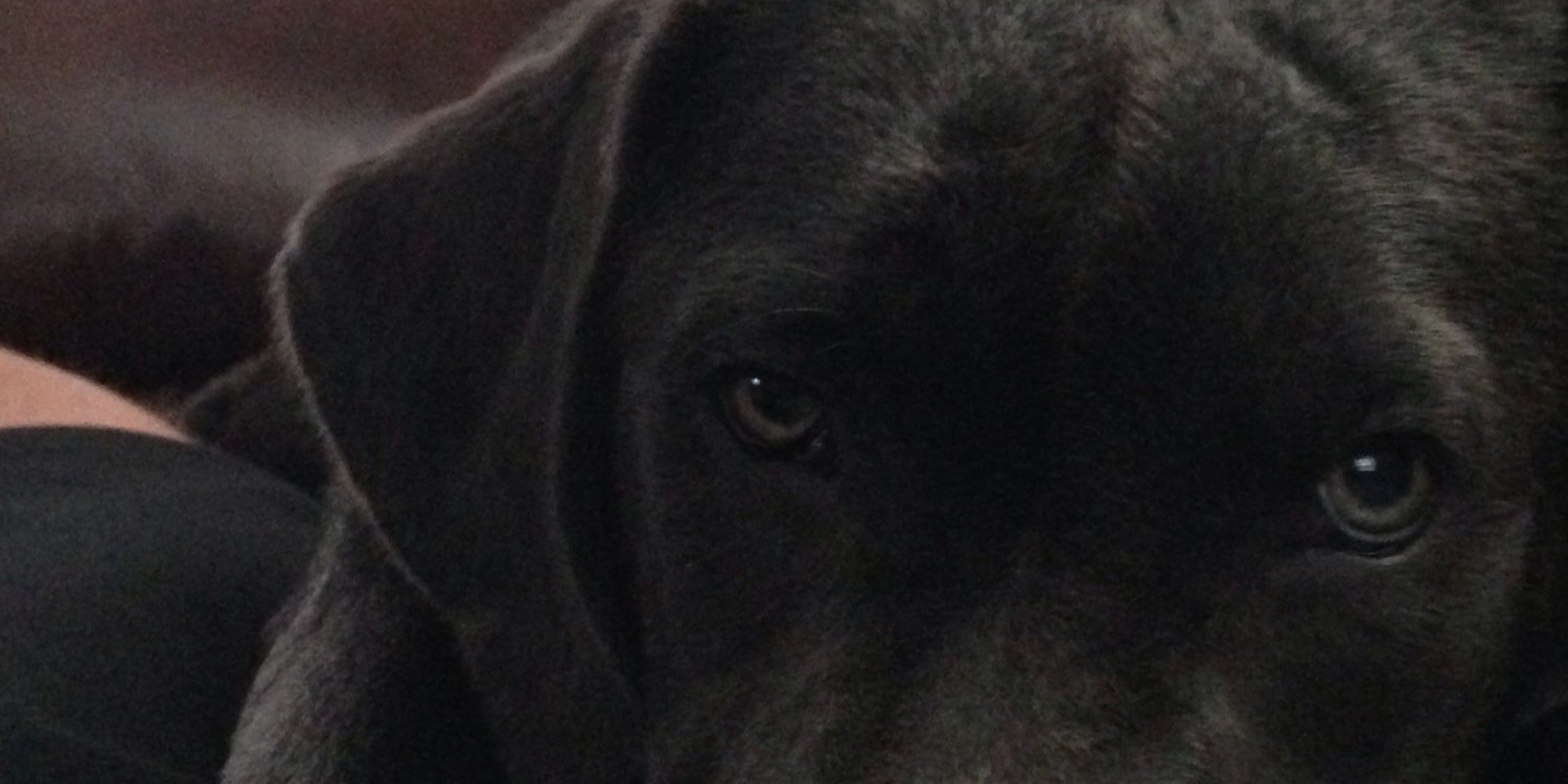 CodyBranton3's profile banner image