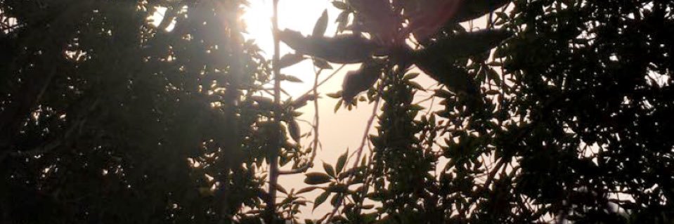 1_sa77R's profile banner image