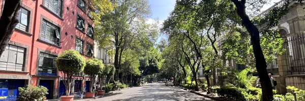 sofiacamcam Profile Banner