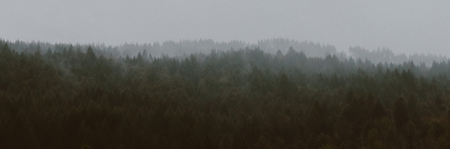 Katybug51's profile banner image