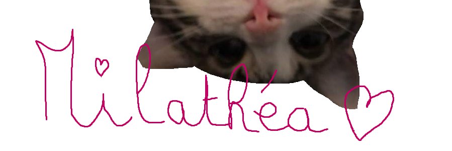 Miilathea's profile banner image