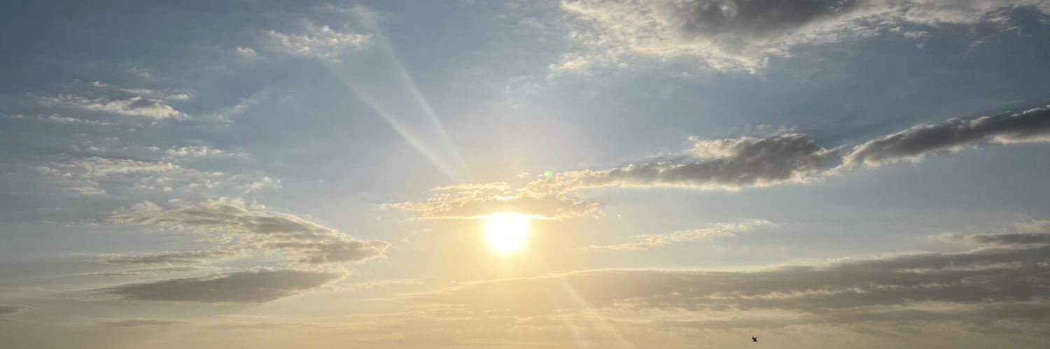 kashko333's profile banner image