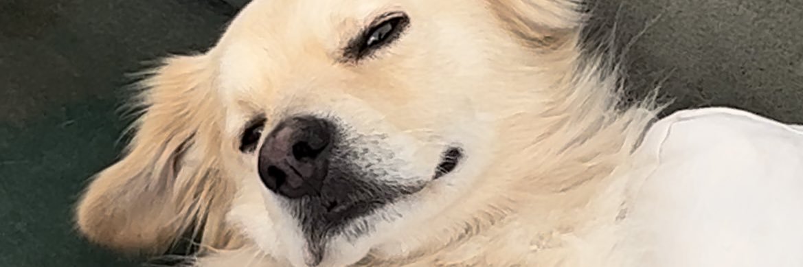 cuentadelbomba's profile banner image
