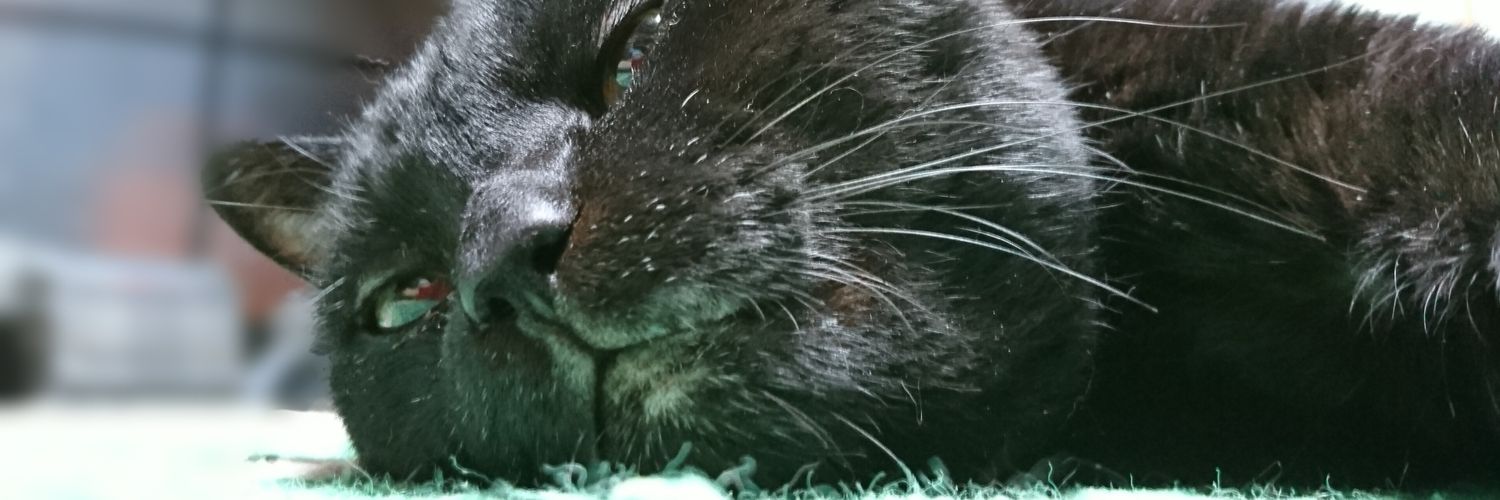 snappish2's profile banner image
