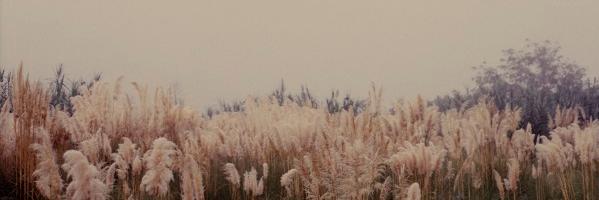 Daniel Kliger banner