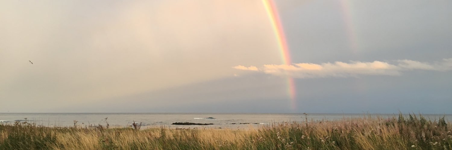 733craig's profile banner image