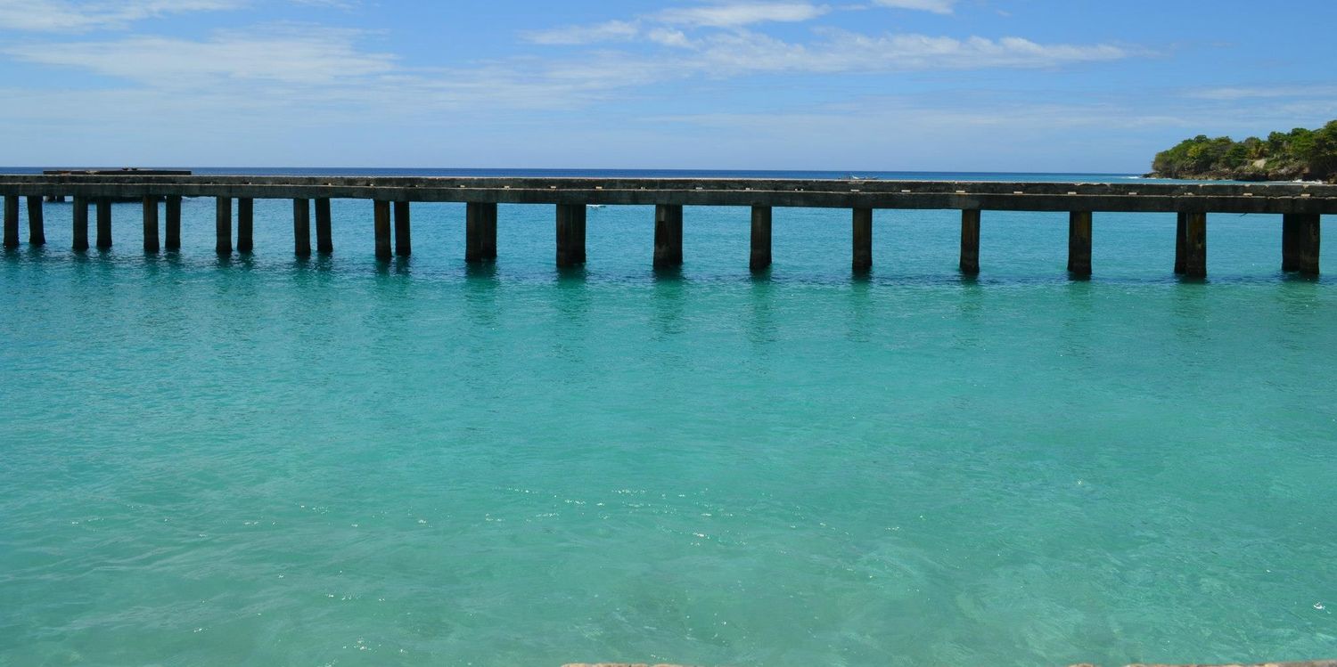 dianaesteves banner
