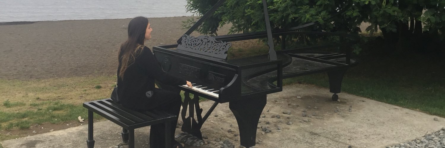 CamiMontecinos's profile banner image