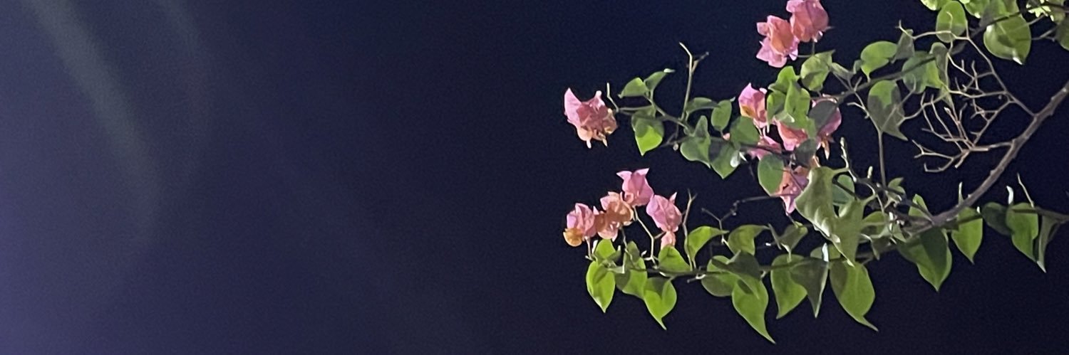 m__6ri's profile banner image