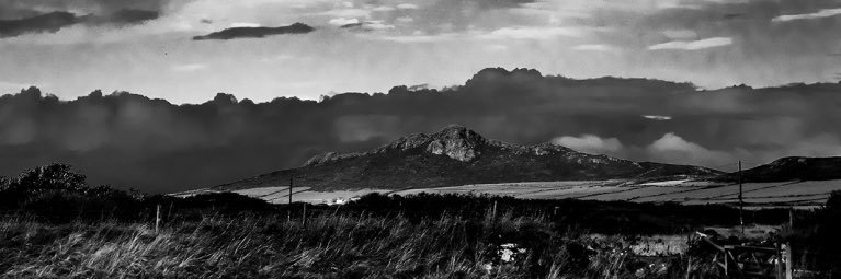 bevvypix's profile banner image