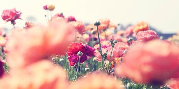 Mary_Ruiz97's profile banner image