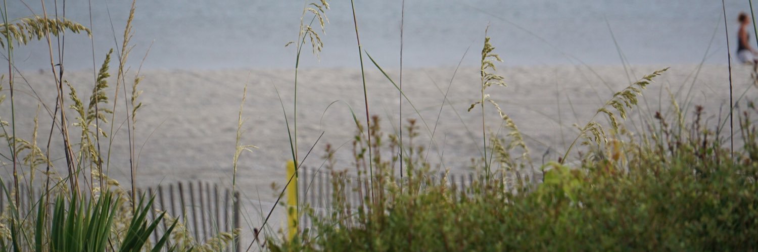 sandcastles75's profile banner image