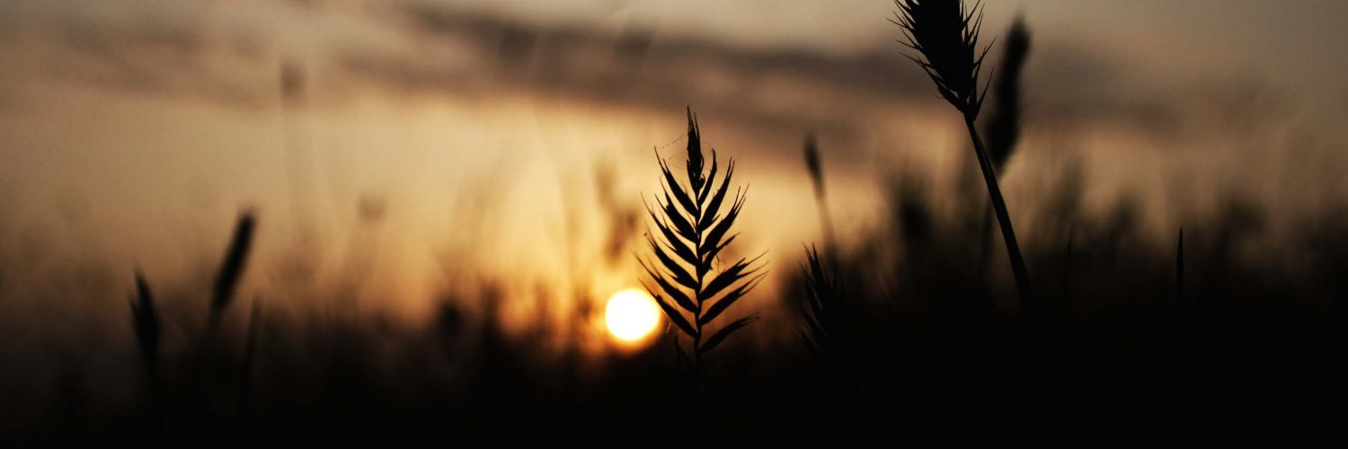hjohnson0445's profile banner image