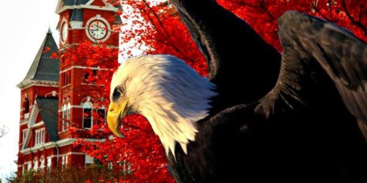 AuburnInsight's profile banner image