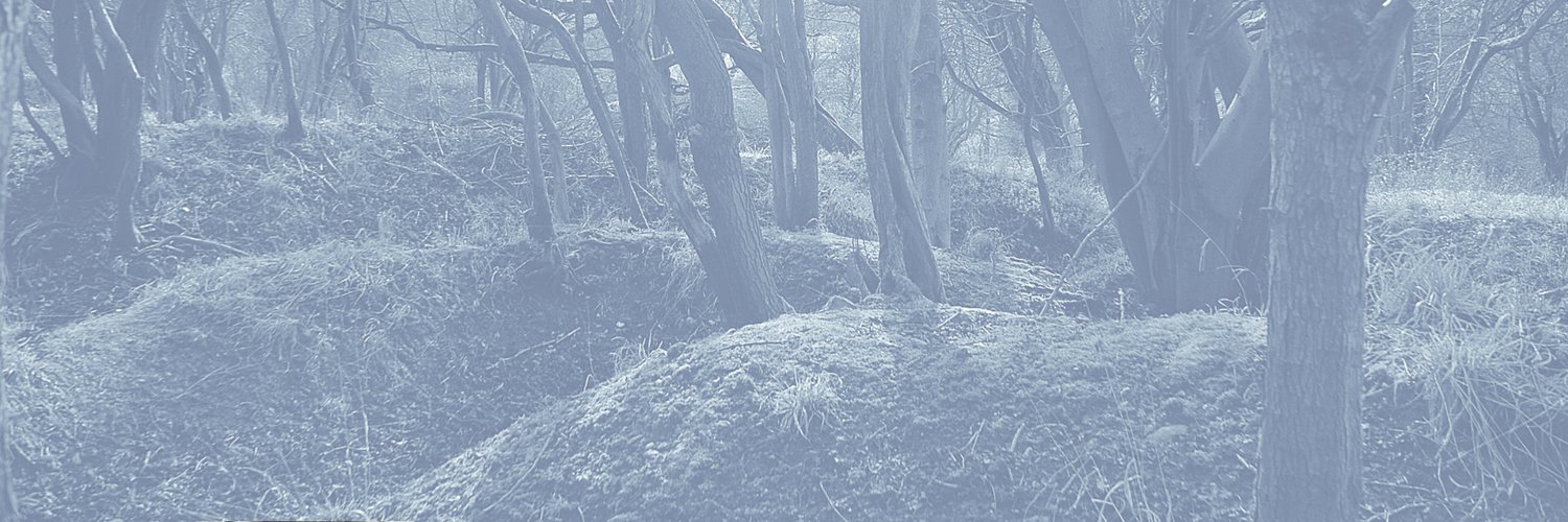 jillbushwrites's profile banner image