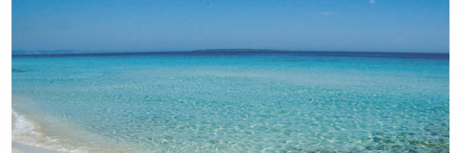 Roberto Sánchez banner