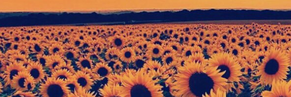 JaniePoitras's profile banner image