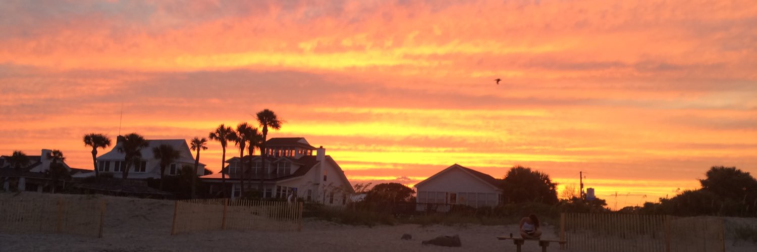 Dr. Shasta Looper banner