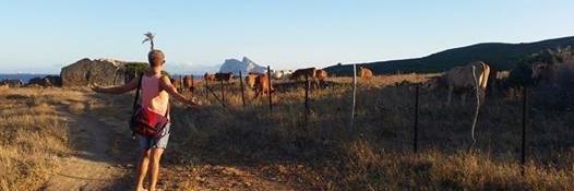 Lewis Constable banner