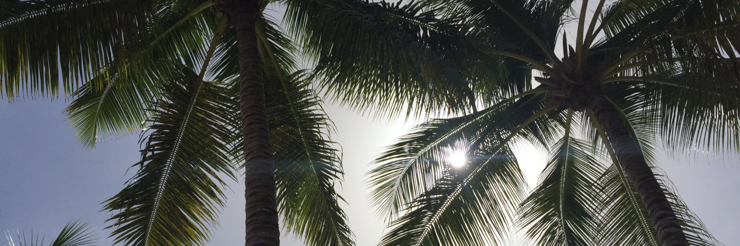 Claudia Pardo banner