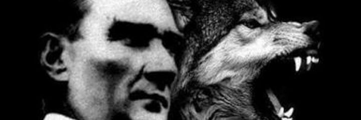 ozloomctn's profile banner image