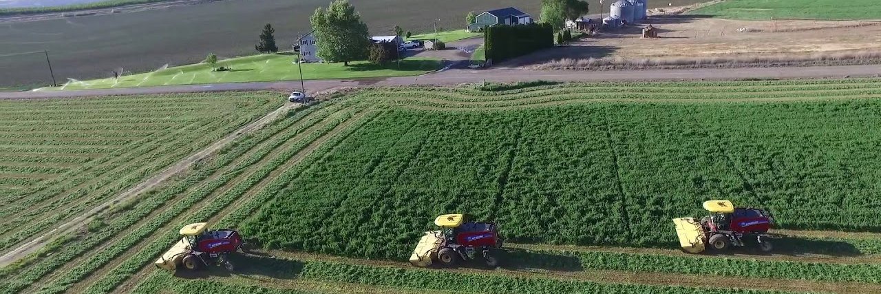 Mlambo 🇵🇸 banner