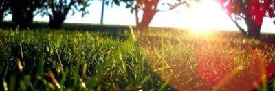ashleynsaunders's profile banner image