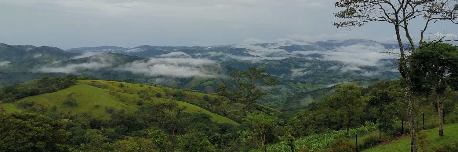 Cristina González banner