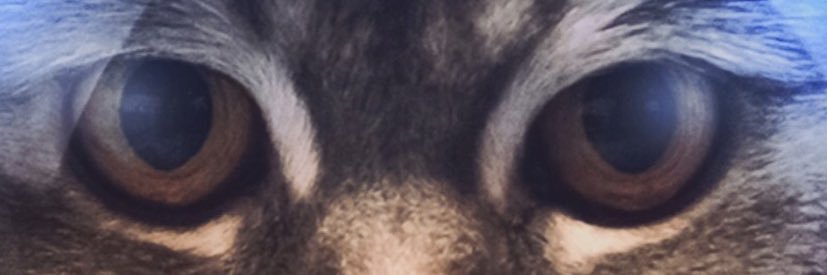 subuty9's profile banner image