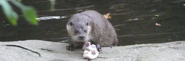 AndersCarlgren Profile Banner