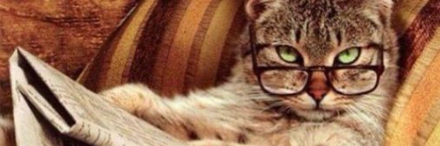 flauschangif's profile banner image