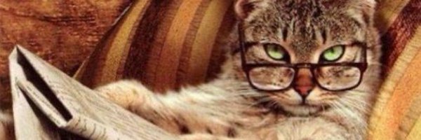 flauschangif Profile Banner