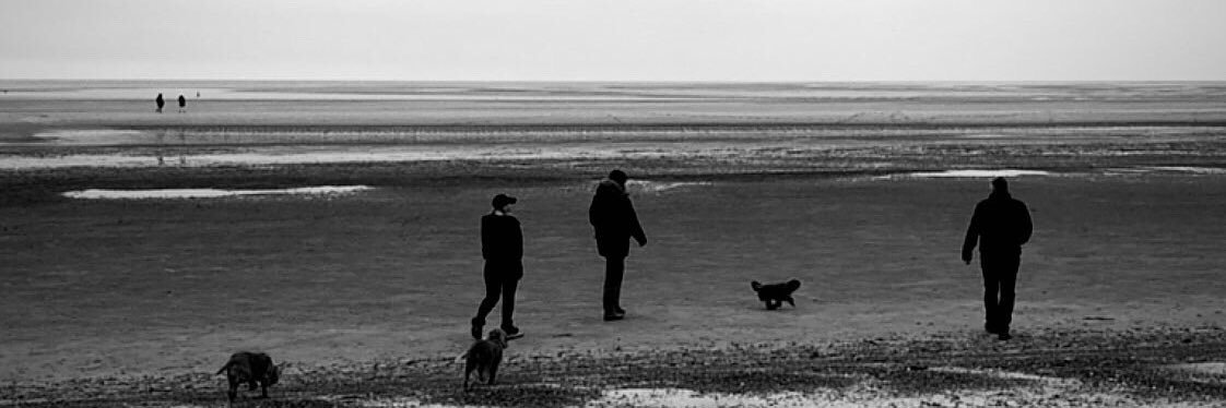 JoeHiner's profile banner image