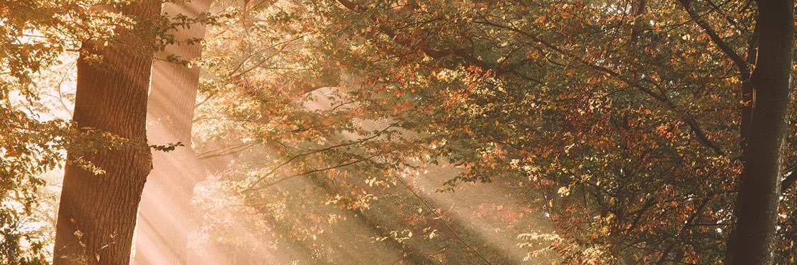 D7omy88's profile banner image