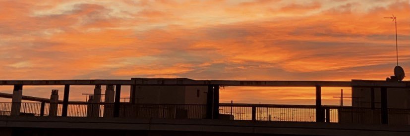 Sandra Chaves banner