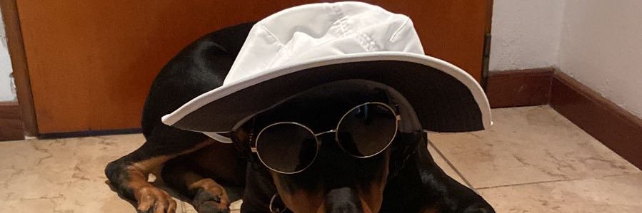 serefouces's profile banner image