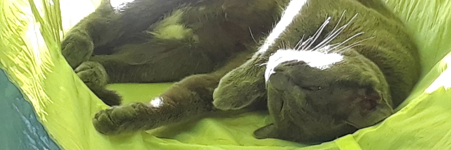 NickLuecking's profile banner image