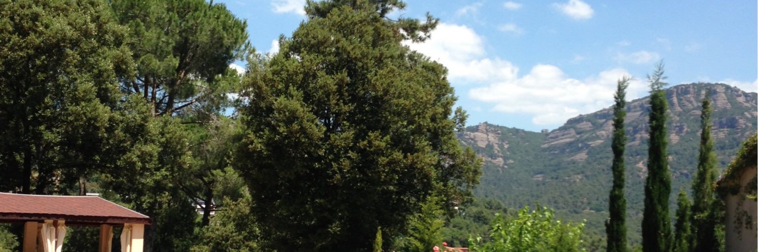 Marcelsayol's profile banner image