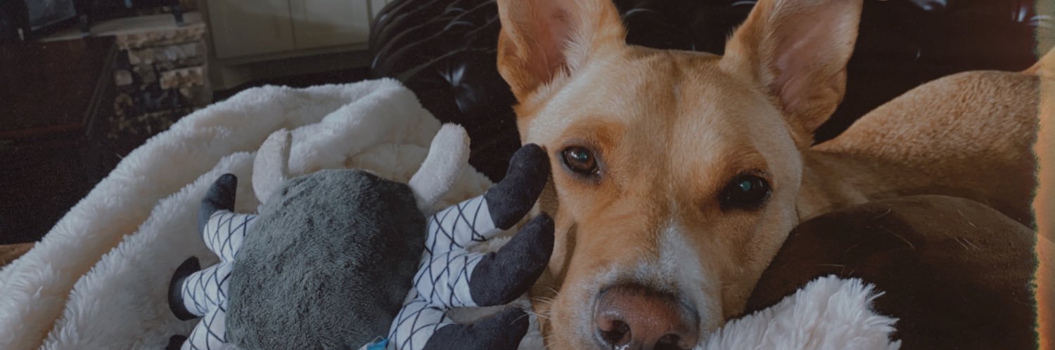 _bridgetmoss_'s profile banner image