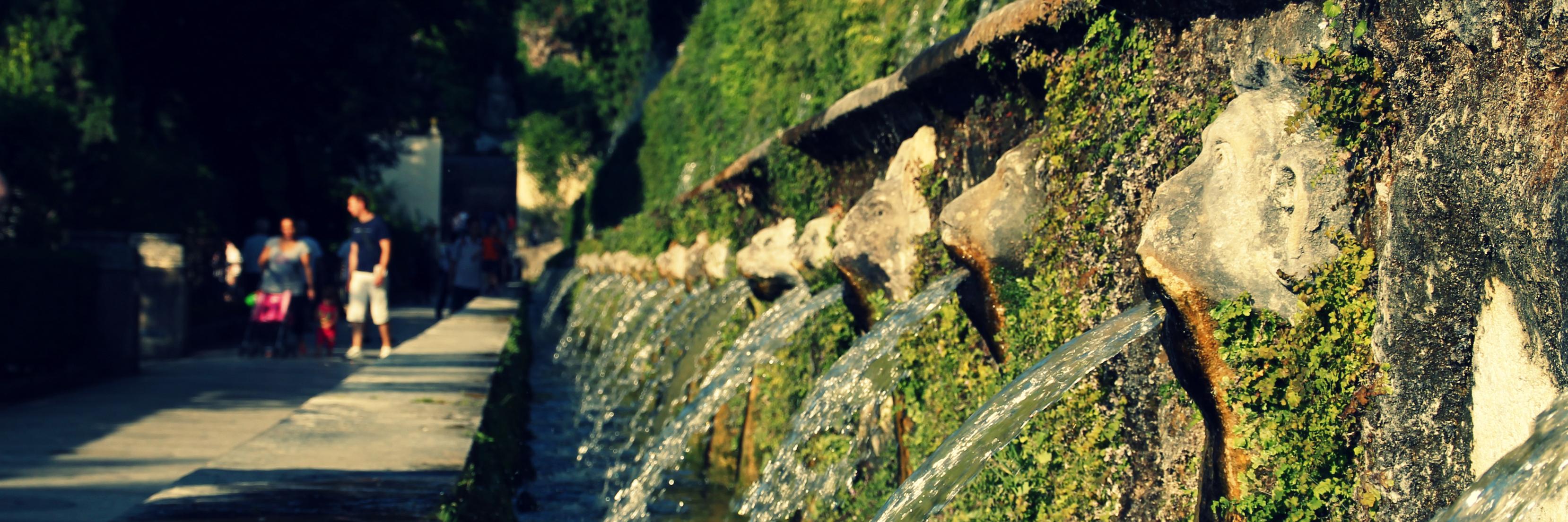Thomas Lo Russo banner