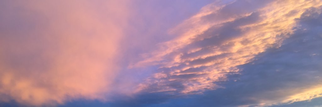 Chloe_Berthon's profile banner image