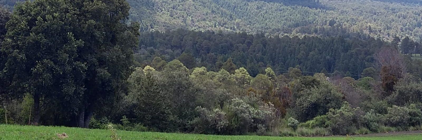 BITMAU banner