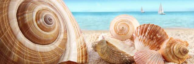 Linda Mora MacBeath banner