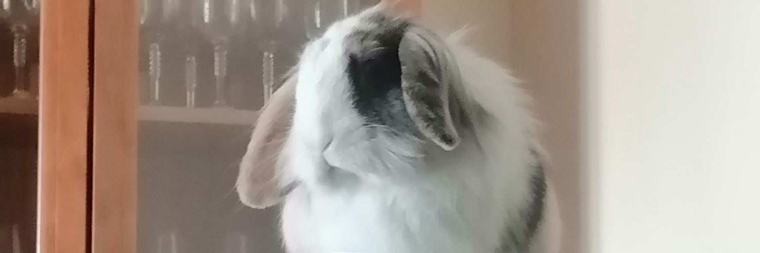 AlbertAmor's profile banner image