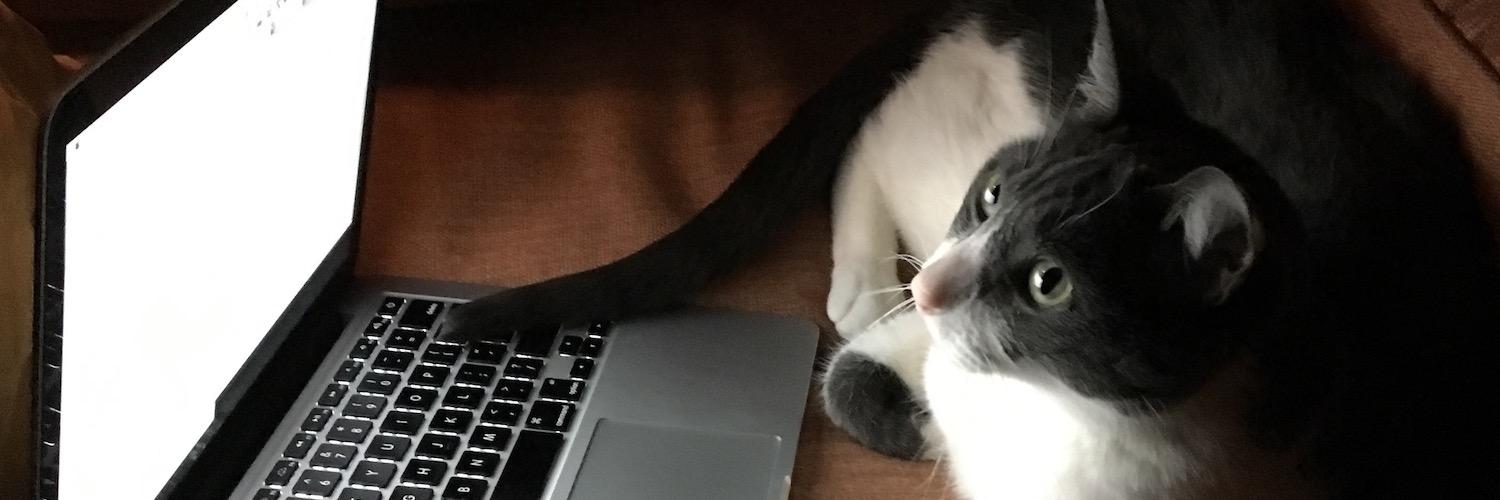 Jonathon Lynch banner