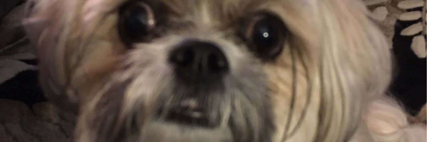 byutwit's profile banner image
