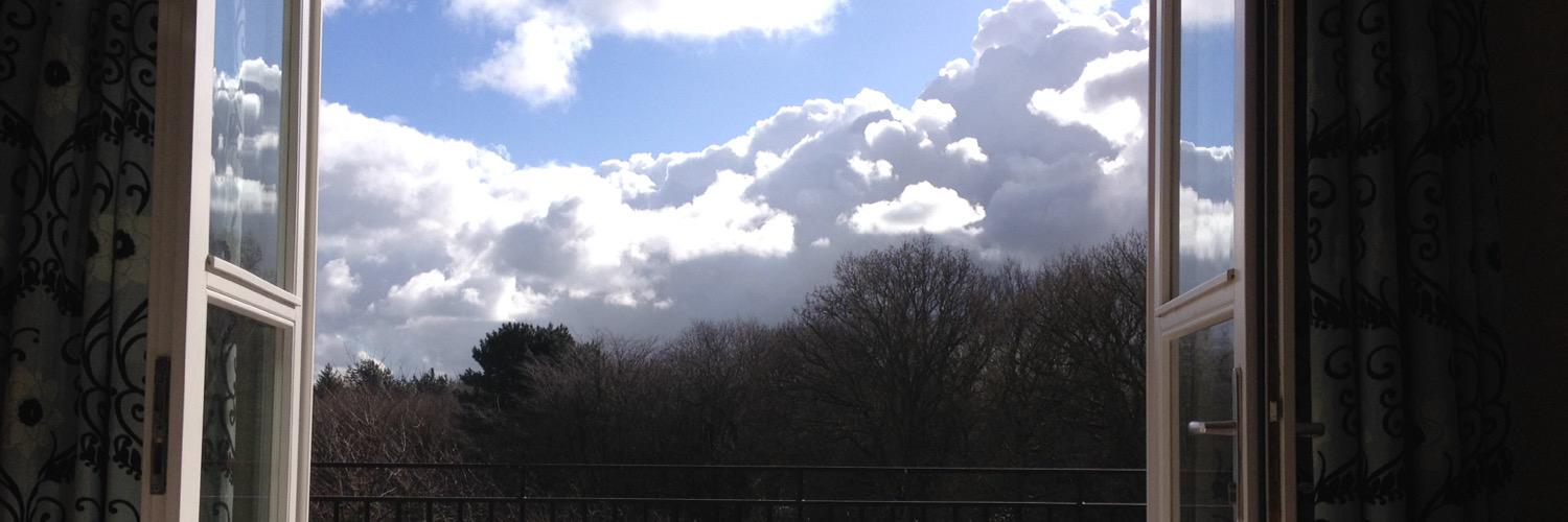 CheshireLex1's profile banner image