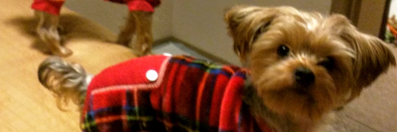 ShayeStone's profile banner image